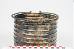 Foto von Bronzerippenziste (NHMW-PRAE-026411)